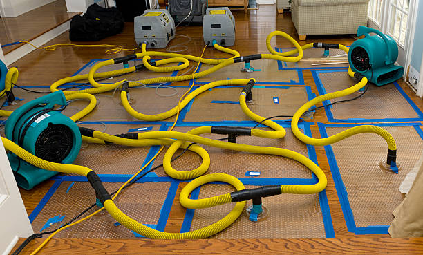 Professional Flood Damage Restoration technician working in Byron, IL